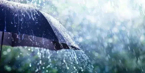 أمطار رعدية ورياح قوية على هذه الولايات