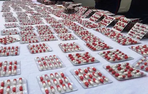 سكيكدة: توقيف شخصين وحجز كمية من الأقراص المهلوسة 