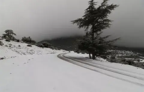 ثلوج وأمطار رعدية على العديد من ولايات الوطن