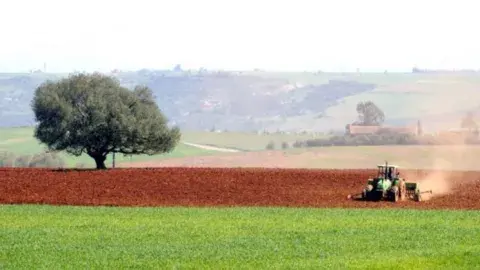 الديوان الوطني للأراضي الفلاحية: تطهير العقار الفلاحي وطي الملف قبل نهاية 2025 