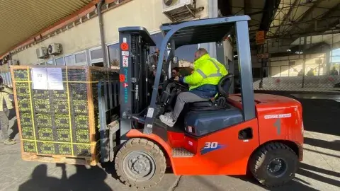 إطلاق أول عملية تصدير بالاستفادة من خصم 50 بالمائة من أعباء النقل الدولي