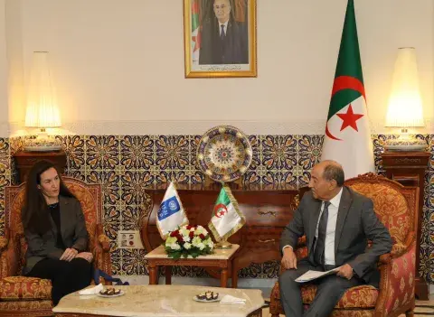 رئيس المحكمة الدستورية يستقبل الممثلة المقيمة لبرنامج الأمم المتحدة الإنمائي