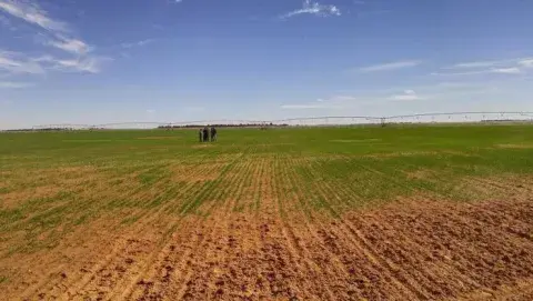 الديوان الوطني للأراضي الفلاحية: 122 ألف هكتار موجهة للتوزيع بغرض الاستصلاح في 2025